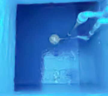 شركة عزل خزانات بالعرضيات | عزل مائي وحراري وإيبوكسي